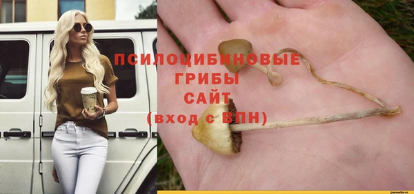 гидра Алексин