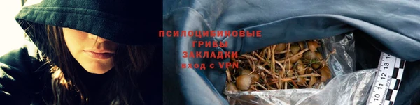 гидра Алексин